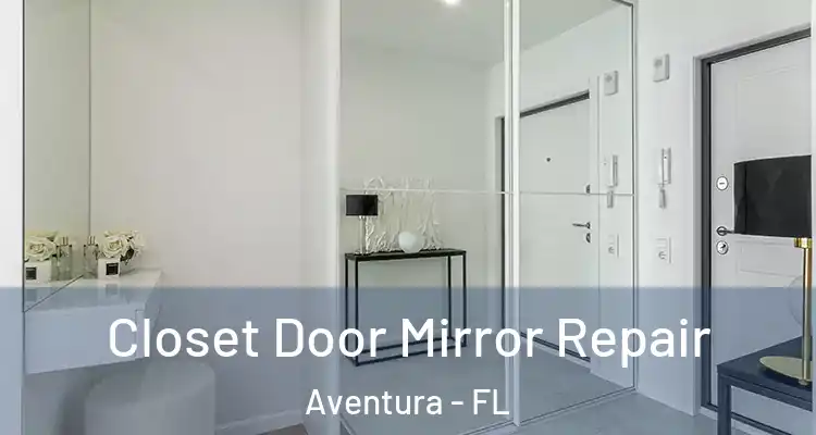  Closet Door Mirror Repair Aventura - FL