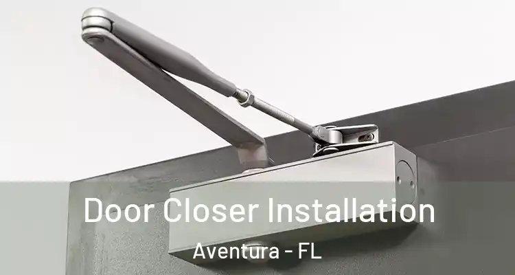  Door Closer Installation Aventura - FL