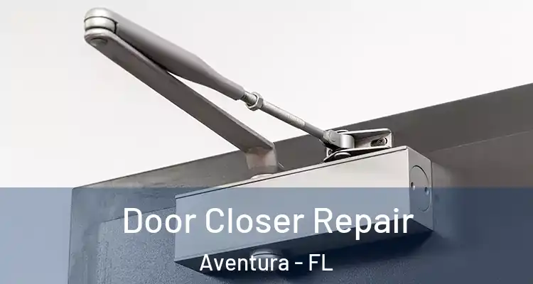  Door Closer Repair Aventura - FL
