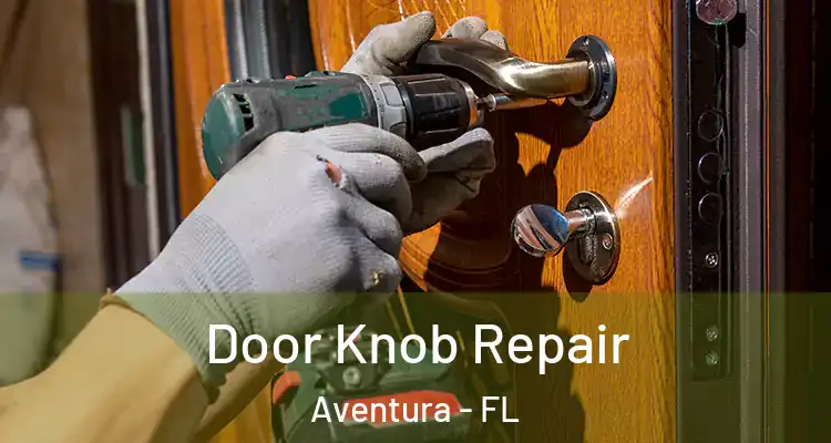  Door Knob Repair Aventura - FL