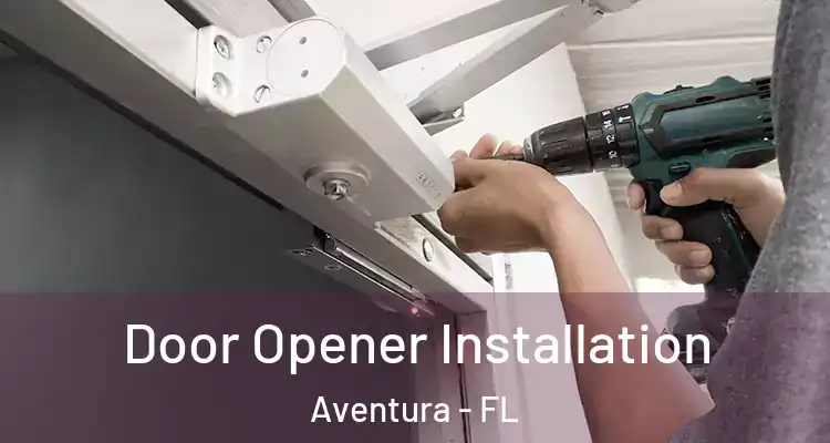  Door Opener Installation Aventura - FL