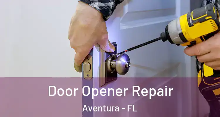  Door Opener Repair Aventura - FL
