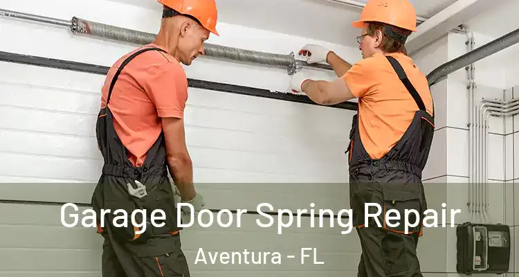  Garage Door Spring Repair Aventura - FL