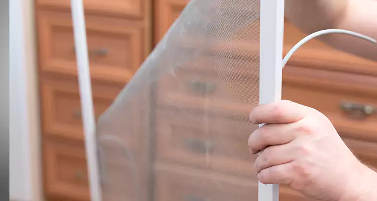 Privacy Mesh Screen Door Installation in Aventura, FL