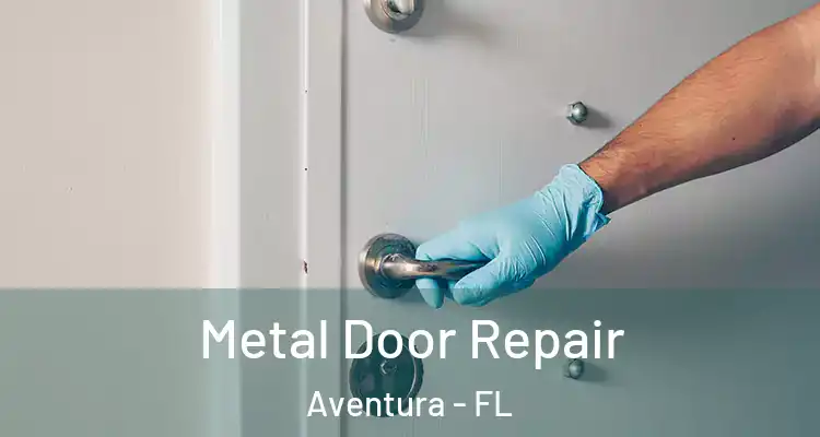  Metal Door Repair Aventura - FL