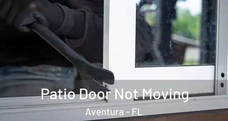  Patio Door Not Moving Aventura - FL