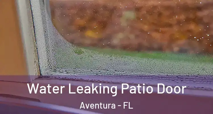  Water Leaking Patio Door Aventura - FL