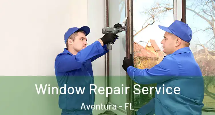  Window Repair Service Aventura - FL